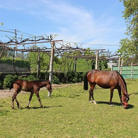 Quinta De Gatao Lantgård