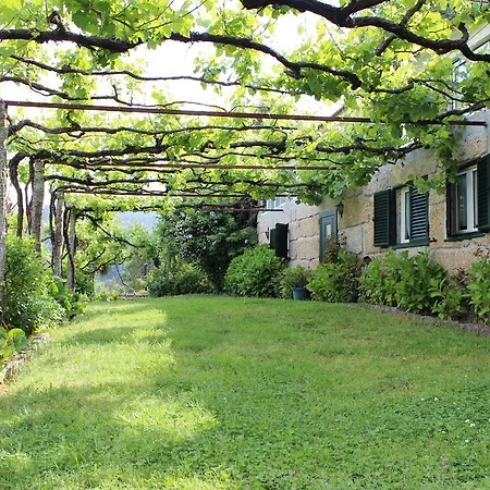 Lantgård Quinta De Gatao *
